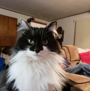 Meet your Posher, Lee